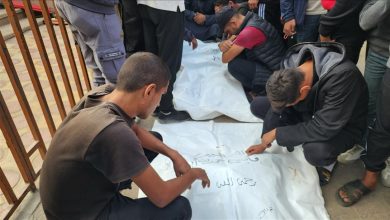 Photo of الأورومتوسطي: الاحتلال يقتل 8 فلسطينيين يوميا بغزة رغم الاتفاق
