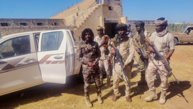Photo of القوات المشتركة بدارفور تؤكد قتالها مع الجيش ونازحو الفاشر بحالة مأساوية