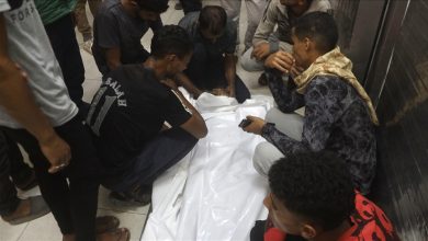 Photo of صحة غزة: ارتفاع حصيلة شهداء الإبادة الإسرائيلية إلى 69 ألفا و185