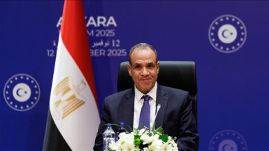 Photo of مصر: نبحث مع تركيا المفاوضات بشأن قوة الاستقرار الدولية في غزة