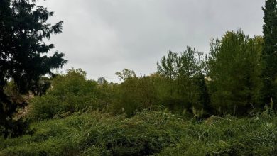 Photo of حالة الطقس: ارتفاع درجات الحرارة