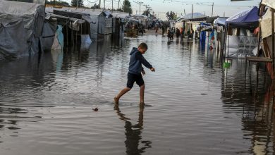 Photo of إسماعيل الثوابتة: قطاع غزة في حاجة إلى 300 ألف خيمة وبيت متنقل