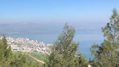 Photo of حالة الطقس: غائم جزئيا إلى صاف