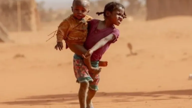 Photo of مسؤولة أممية تعتبر الجوع والنزاعات تهديدا للأمن الدولي