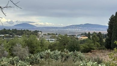 Photo of حالة الطقس: أجواء صافية وحارة نسبيا