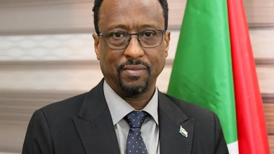 Photo of وزير سوداني: الشعب سيدعم الجيش في حربه على الدعم السريع (فيديو)