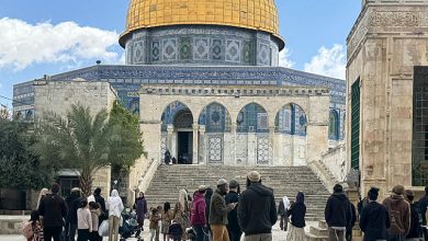 Photo of 174 مستوطنًا يقتحمون الأقصى ويؤدّون طقوسًا تلمودية علنية وسط حماية مشددة