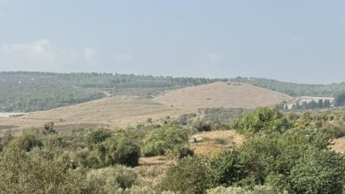 Photo of حالة الطقس: أجواء حارة نسبيا