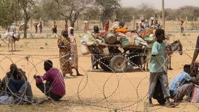 Photo of اليونيسف: نازحو الفاشر قطعوا 60 كلم سيرًا على الأقدام دون طعام أو ماء