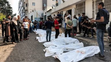 Photo of الصحة في غزة تستلم دفعة جديدة من جثامين الشهداء المفرج عنهم وترفع الحصيلة إلى 330