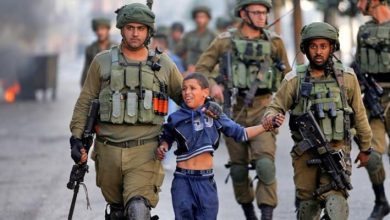 Photo of يوم الطفل العالمي: 350 طفلاً فلسطينياً في سجون الاحتلال وارتفاع غير مسبوق في الاعتقال الإداري