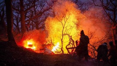 Photo of حريق يلتهم غابات إيرانية مدرجة على قائمة التراث العالمي لليونسكو