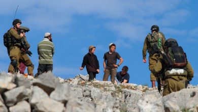 Photo of 10 إصابات بهجوم لمستوطنين على بلدة خلايل اللوز جنوب بيت لحم