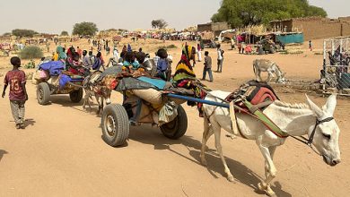 Photo of مفوض الأمم المتحدة: الفظائع في الفاشر جرائم متوقعة كان يمكن منعها
