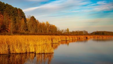 Photo of طقس خريفي معتدل يتخلله عدم استقرار وأمطار متفرقة خلال الأيام المقبلة