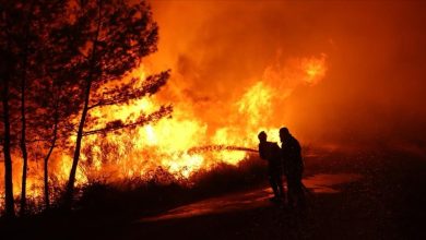 Photo of سوريا.. أمطار غزيرة تخمد حرائق باللاذقية بعد ساعات من المكافحة
