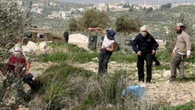 Photo of مستوطنون يهاجمون قاطفي زيتون فلسطينيين شمالي الضفة