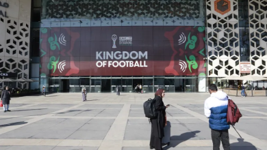 Photo of حيوانات ضارية وجوارح فتاكة.. كنيات المنتخبات المشاركة بكأس أفريقيا