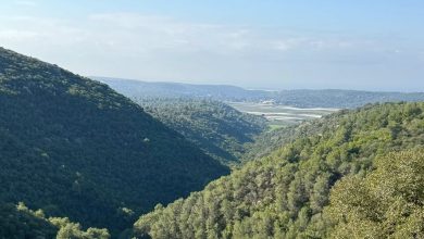 Photo of حالة الطقس: غائم جزئيا إلى صاف