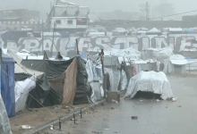 Photo of وفيات وتعطيل الدراسة مع استمرار الأمطار والسيول في دول عربية (شاهد)