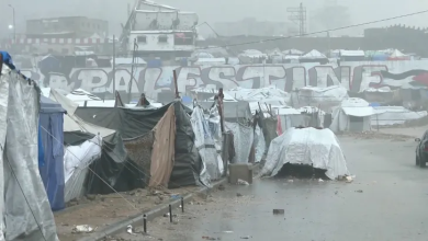 Photo of وفيات وتعطيل الدراسة مع استمرار الأمطار والسيول في دول عربية (شاهد)