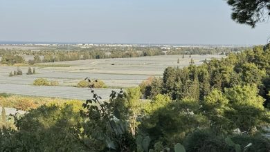 Photo of حالة الطقس: غائم جزئيا ودافئ