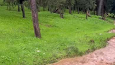 Photo of حالة الطقس: ارتفاع طفيف في درجات الحرارة