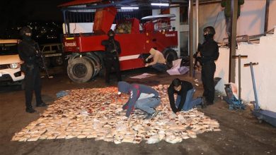 Photo of الأردن.. إحباط تهريب 1.2 مليون حبة مخدرة إلى دولة مجاورة