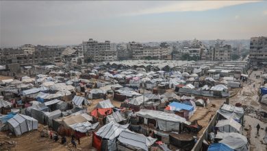 Photo of الحكومة الفلسطينية تناشد لتوفير مستلزمات الإيواء للنازحين بغزة