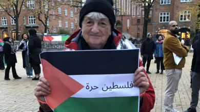 Photo of عمرها 80 عاما وتطير الحمام وتتظاهر من أجل غزة.. تعرّف على قصتها (شاهد)