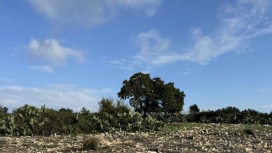 Photo of حالة الطقس: تأثر البلاد بمنخفض جوي جديد