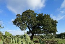 Photo of حالة الطقس: أجواء ماطرة