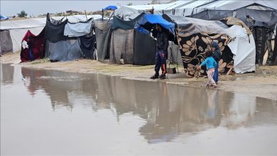Photo of أرامل غزة.. حياة قاسية في خيام بالية جراء حرب الإبادة
