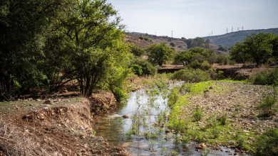 Photo of حالة الطقس: أجواء ماطرة وباردة