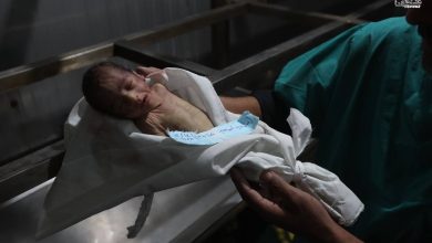 Photo of أطباء بلا حدود تحذّر من ارتفاع وفيات الأطفال في غزة بسبب البرد وتطالب بإدخال عاجل للمساعدات