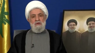 Photo of نعيم قاسم ينتقد إرسال مندوب مدني للجنة وقف إطلاق النار ويصفه بـ”التنازل المجاني”