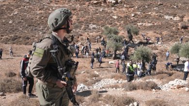 Photo of الاحتلال يتلف مئات أشجار الزيتون ويوقف بناء 20 منزلا بالضفة