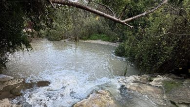 Photo of حالة الطقس: غائم جزئيا إلى غائم