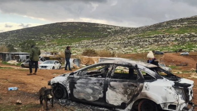 Photo of خلة السدرة الفلسطينية.. اعتداءات المستوطنين تزداد عنفا وضررا (شاهد)