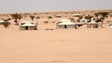 Photo of منظمة أممية: نزوح 400 أسرة في اليمن خلال 3 أسابيع (فيديو)