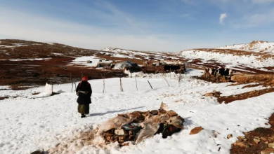 Photo of تحذيرات وإلغاء رحلات.. عاصفة قوية تغلق مدارس وجامعات الجزائر