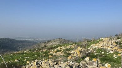 Photo of حالة الطقس: ارتفاع في درجات الحرارة