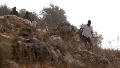 Photo of الضفة 2025.. 14 شهيدا وتهجير 13 تجمعا بدويا باعتداءات مستوطنين