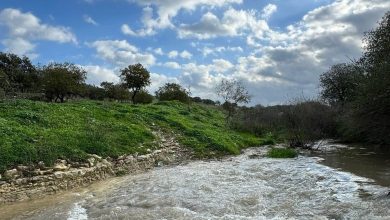 Photo of حالة الطقس: غائم جزئيا وأمطار متفرقة