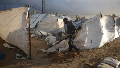 Photo of غزيون: نموت من البرد وخيامنا تتطاير (شاهد)