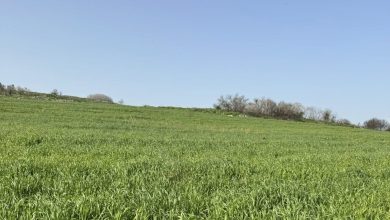 Photo of حالة الطقس: غائم جزئيا