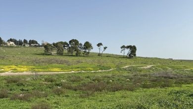 Photo of حالة الطقس: غائم جزئيا وبارد نسبيا