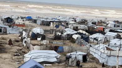 Photo of واشنطن تقترب من تعيين لجنة فلسطينية لإدارة غزة وشعث مرشح لرئاستها