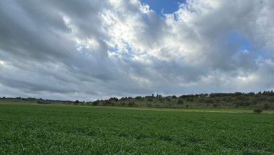 Photo of حالة الطقس: غائم جزئيا إلى غائم