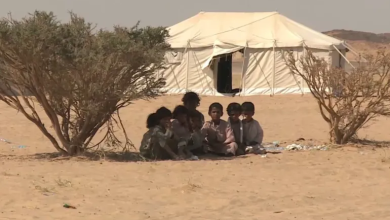 Photo of منظمة أممية: نزوح 13 ألف شخص في اليمن خلال 3 أشهر